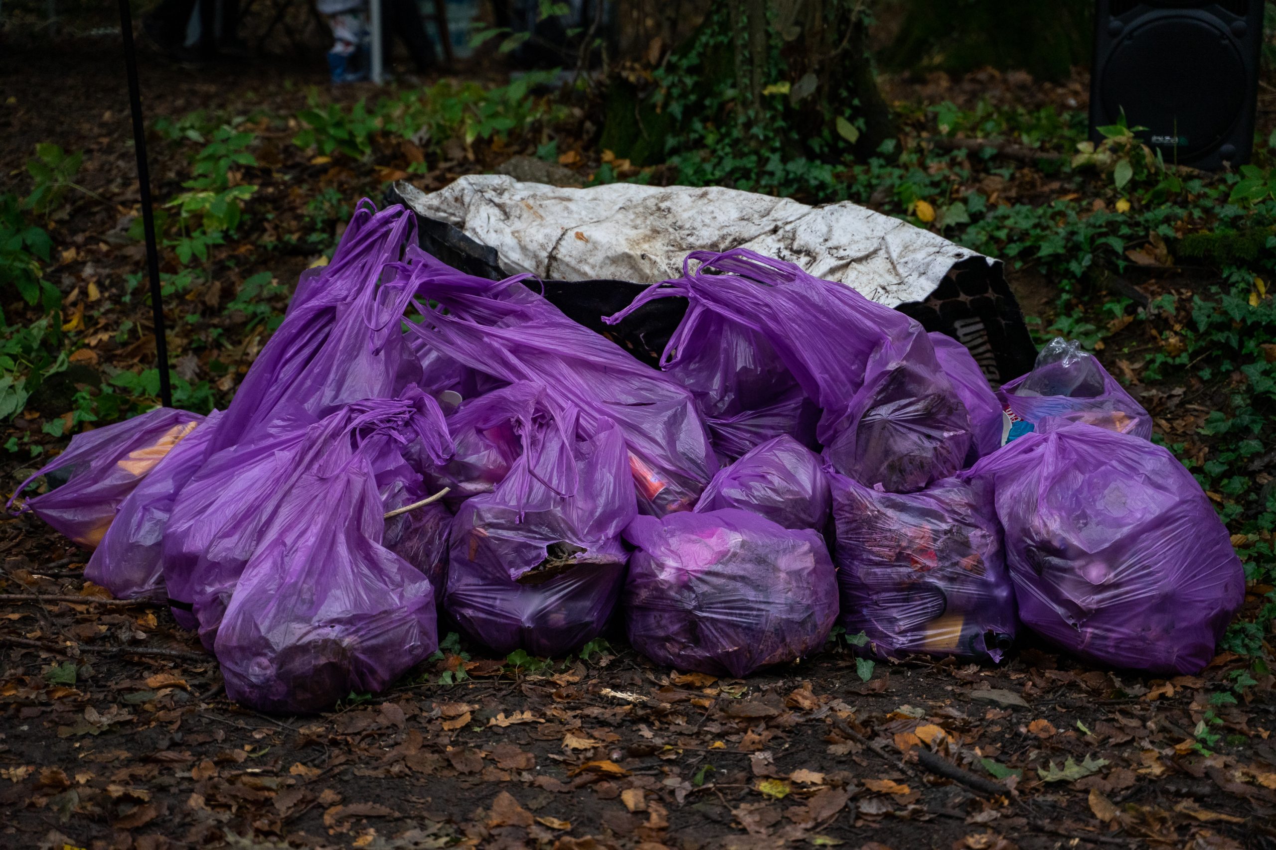 Clean and Run - Plogging by Greenfield