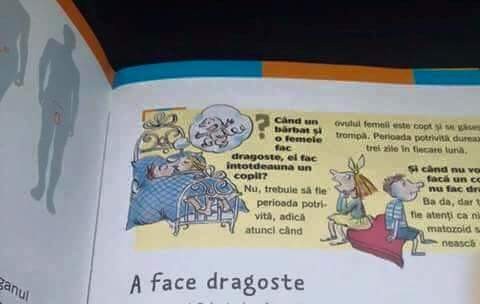 Educație sexuală